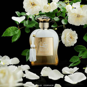 Rua EDP